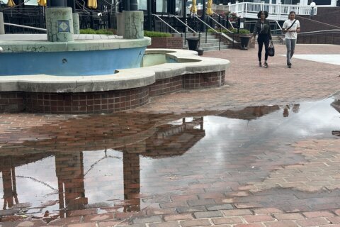 Alexandria’s Waterfront Park to temporarily close for flood mitigation project
