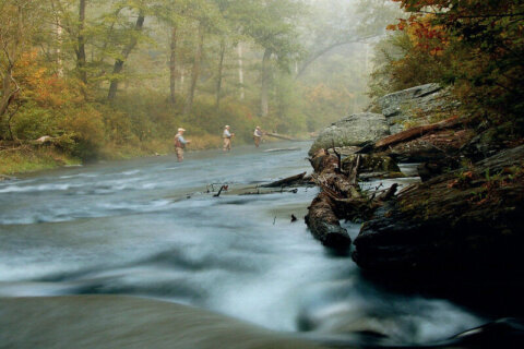 Several Maryland parks will require reservations starting this summer