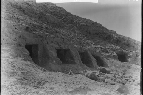 Ancient DNA shows genetic link between Egypt and Mesopotamia
