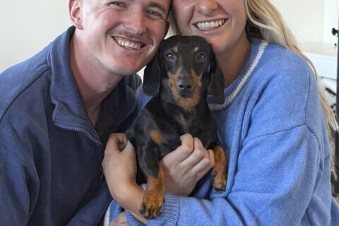 A miniature dachshund is reunited with its owner after 18 months lost on an Australian island
