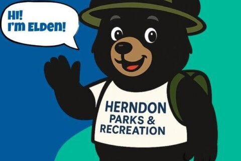 Elden the Bear is the Town of Herndon’s new summer hire