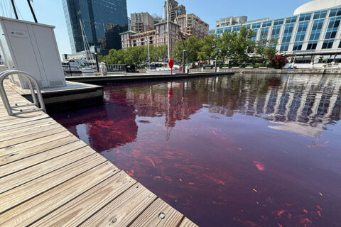 2,000-gallon diesel spill stains part of Baltimore waterfront
