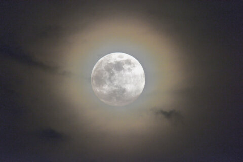 How to view the full flower moon in the DC area