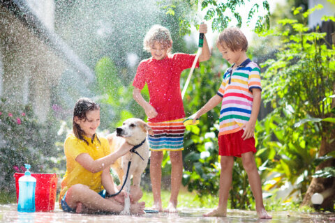 WSSC says to conserve water during hot weather to avoid water bill shock