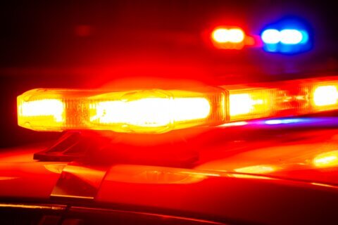 Maryland family demands answers after finding aunt dead in a safe