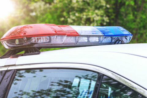 Md. teen linked to 120 vehicle break-ins gets released hours after arrest