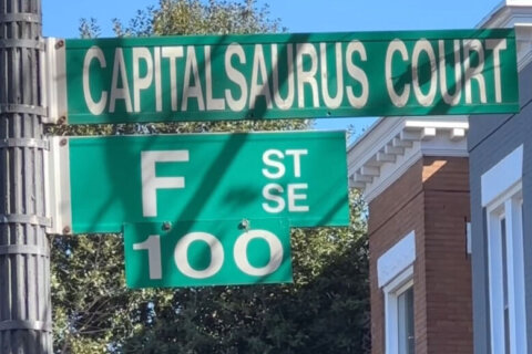 A deep dive into the lore of DC’s official dinosaur — the ‘Capitalsaurus’