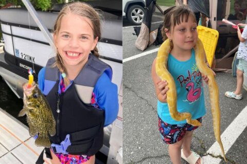 Fairfax Co. students vying to become next Jr. Ranger
