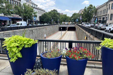 Work begins on yearslong project to create more public space along Connecticut Avenue