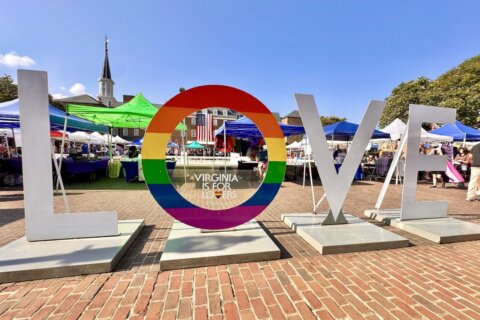 ‘It’s wonderful to be accepted and valued and respected for who I am’: A look at the task force that created Alexandria Pride