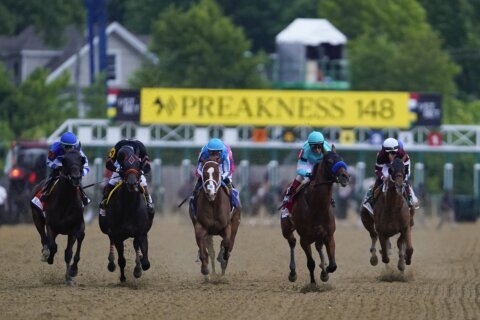 AP Photos: The 150th Preakness is the last at old Pimlico before demolition