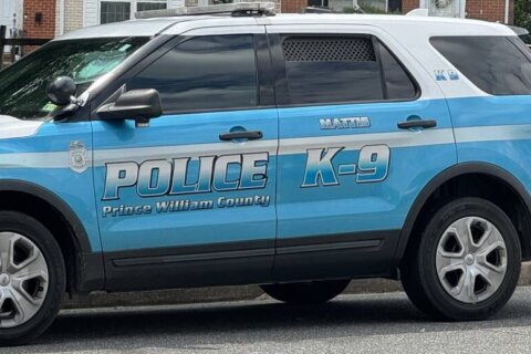 Prince William Co. police charge man with animal cruelty after dog dies in hot car