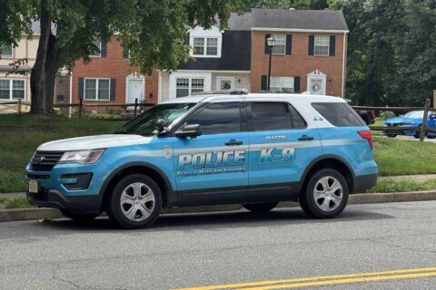 Manassas woman charged with animal cruelty after kitten euthanized, 23 cats seized