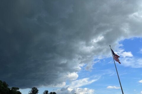 ‘Wall of wind and rain’: Thunderstorms in DC area bring in 60-plus mph winds, downed trees