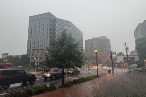 Storms hit parts of DC region after seeing hot and humid weather
