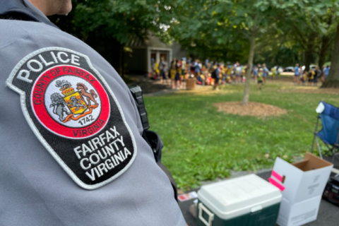16 men ‘caught in the web’ of a police sting targeting child predators in Fairfax County
