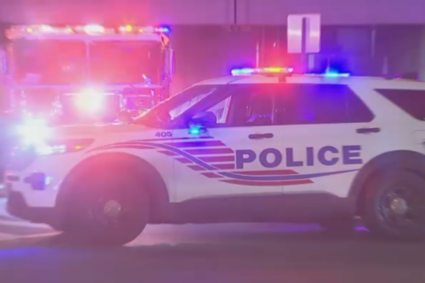 New dashboard brings near real-time info about crime around the region