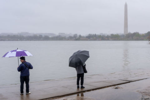 Scattered showers and thunderstorms in DC area Wednesday night